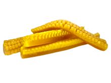 LK Baits Kukuřice Baby Corn 4 ks - Honey