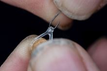 Preston Inavations Gumičky Na Nástrahy Hookable Bait Bands (3)
