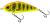 Salmo Wobler Fatso Sinking Bright Perch