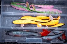 Fox Rage Gumová Nástraha Zander Pro Shad UV Golden Shiner (5)