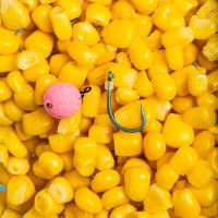 Nash Háčky Continental X Micro Barbed 10 ks (5)