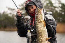 Fox Rage Gumová Nástraha Jointed Replicant Original Stickleback (5)