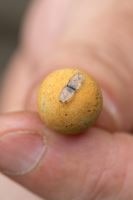 Korum Zarážky Smokescreen Pellet Stops 60 ks (1)