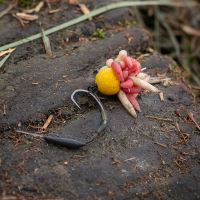 Nash Háčky Claw Long Shank X Micro Barbed 10 ks (5)