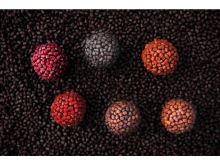 Chytil Boilies Pandemia 16 mm 100 g (6)