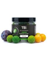 TB Baits Vyvážené Boilie Balanced + Atraktor Amur 100 g (1)