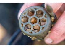 Preston Innovations Krmítko ICS Bait Up Feeder 20 g (6)