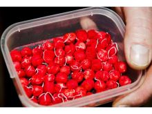 Chytil Rohlíkové Boilies 8 mm 30 g (1)