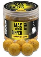 Haldorádó Dipované Boilies Dipped Max Motion 80 g 20 mm - Champion Corn