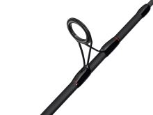 Berkley Prut Catch More Fish Spin Combo 1,8 m 5-20 g (2)