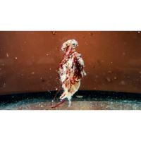 DK Fishing Šonův Sopel Ready To Go Med 500 ml (2)