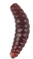 Saenger Iron Trout Gumové Nástrahy Bee Maggots 2,5 cm-Barva BR