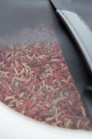 Matrix Miska EVA Airflow Bowl (17)