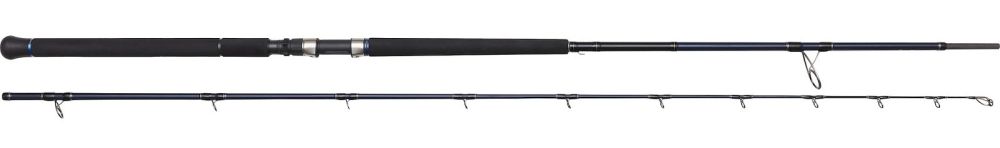 Levně Westin prut w2 rockshore apex predator mhh 2,90 m 50-120 g 2-díl