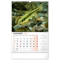 PGCZ Nástěnný Rybářský Kalendář 2026 SK 33x46 (12)