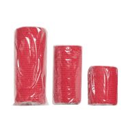 Survival Lékarnička First Aid Kit Pet (6)