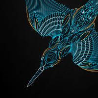 Kumu Tričko Take Flight (2)