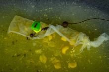 My-Baits Tekutá Potrava Liquid Food "Essential Yellow Trigger" 500 ml (9)