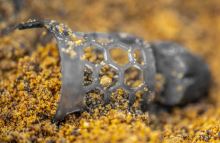 Preston Innovations Krmítko Hexmesh Plastic Bullet Feeders Large (3)