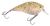 Spro Wobler PC Crank Splatter 5 cm