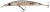 Daiwa Wobler Tournament XL Shiner 130 F Pearl Ghost Perch - 13 cm 22,5 g