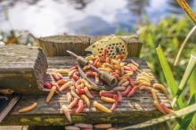 Korum Krmítko Camo Grub Feeders (6)