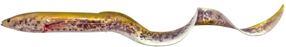 Levně Savage gear gumová nástraha real eel chameleon eel - 40 cm 147 g