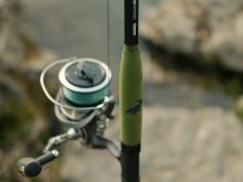 Delphin Prut Energy Catfish 3,1 m 250-500 g (8)