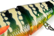 Fox Rage Gumová Nástraha Replicant Swim Pike 18 cm (2)