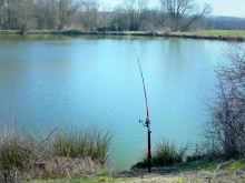 Delphin Sumcový Stojan Energy 100 cm (8)