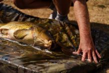 Nash Podložka Carp Care Flat Mat Camo (11)