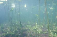 Power Vision Ponorka Power Ray s kamerou 4K (12)