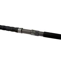 Shimano Prut Beastmaster AX Catfish Spinning Lure 2,7 m 200 g (3)