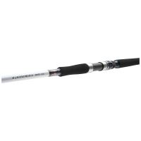 Daiwa Prut Grandwave Pollock 2,4 m 40-100 g 2 Díly (3)