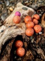 Carp Inferno Boilies Nutra Line Višeň Chilli (6)