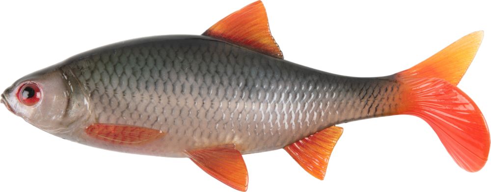 Levně Fox rage gumová nástraha ultra natural roach bulk - 18 cm