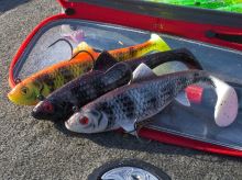 Fox Rage Gumová Nástraha Wobble Replicant Zebra UV (2)