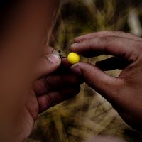 Munch Baits Plovoucí Boilies Zinga Pop Ups 200 ml (1)