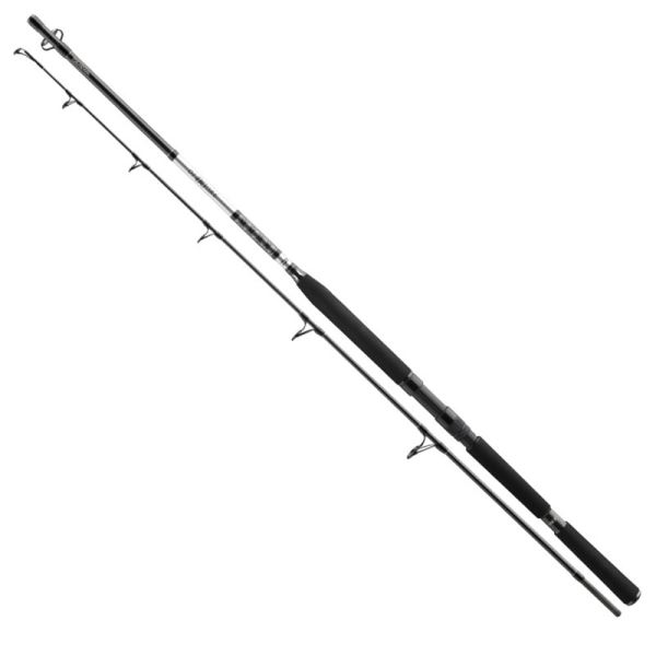 Daiwa Prut BG Popper 2,30 m 40-150 g