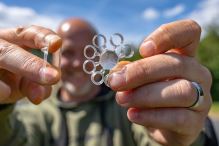 Korum Silikonové Kroužky Mega Bands 8 mm (2)