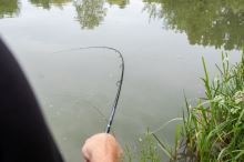 Preston Innovations Prut Inspire Feeder 4 m (6)