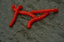 One More Cast Umělé Žížaly Bloodliner Tippers 20 ks (3)