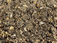 LK Baits Predátor Method Mix 1 kg (1)