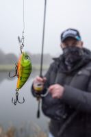 Salmo Wobler Rattlin Hornet Floating Hot Perch (4)