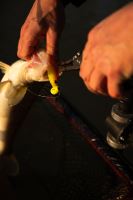 Fox Rage Kleště Belt Pliers 18,5 cm (15)