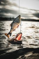 Savage Gear Gumová Nástraha 3D Line Thru Roach Sinking Blue Roach (4)