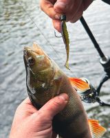 Fox Rage Jigová Hlava Camo Ned Heads Micro 5 ks (3)