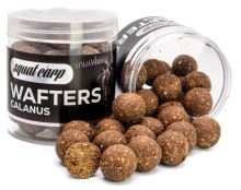Squat Carp Vyvážené Boilies Wafters Calanus - 150 g 24 mm