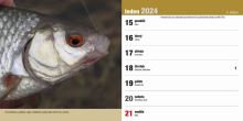 ČRS Stolní Rybářský Kalendář Na Rok 2024 (2)