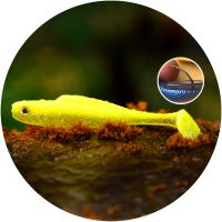 RedBass Gumová Nástraha Ripper Kicker Signal Yellow G UV - XL 125 mm 12,5 g